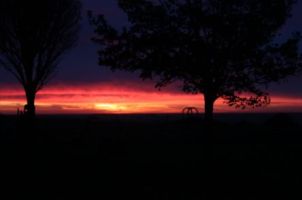 Sunrise over Walton on the Naze by Michael Cross