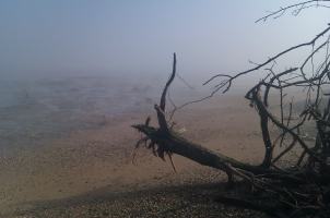 Misty Beach Scene 2 at Walton by Michael Cross